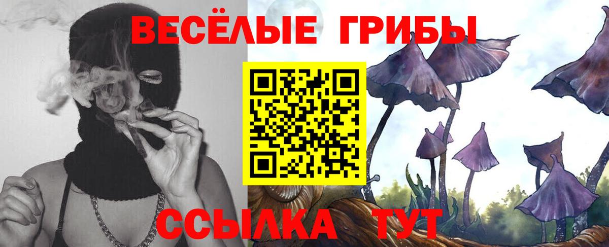 Магадан  Псилоцибиновые грибы Psilocybe  наркота  Вход с VPN  Галлюциногенные грибы GOLDEN TEACHER 