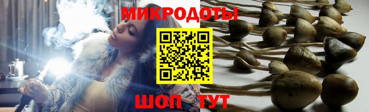 Галлюциногенные грибы Psilocybine cubensis Магадан